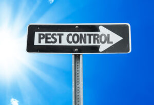 san antonio pest control rodents